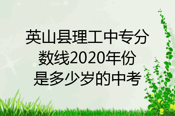 英山县理工中专分数线2020年份是多少岁的中考