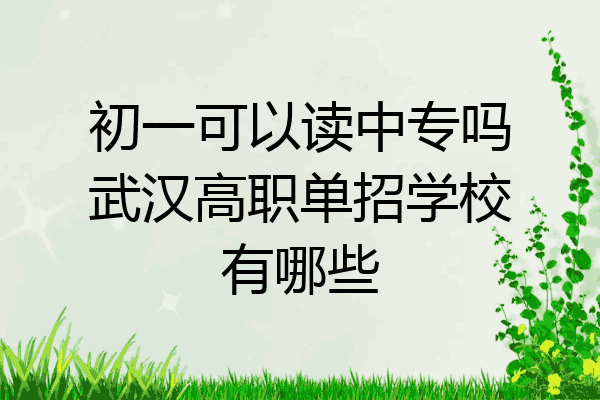 初一可以读中专吗武汉高职单招学校有哪些