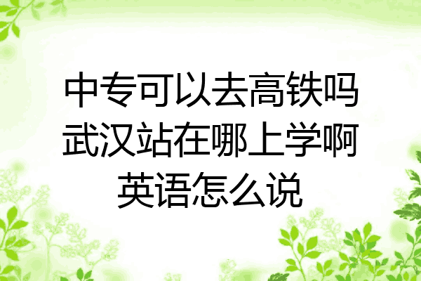 中专可以去高铁吗武汉站在哪上学啊英语怎么说