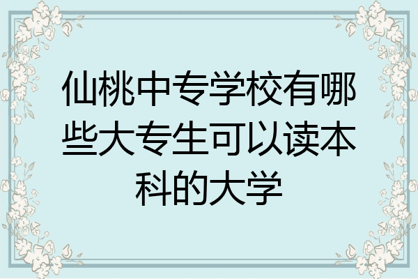 仙桃中专学校有哪些大专生可以读本科的大学