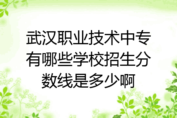 武汉职业技术中专有哪些学校招生分数线是多少啊
