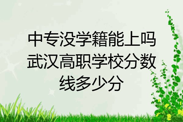 中专没学籍能上吗武汉高职学校分数线多少分