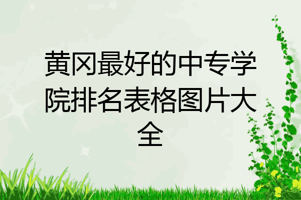 黄冈最好的中专学院排名表格图片大全