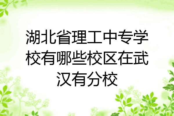 湖北省理工中专学校有哪些校区在武汉有分校