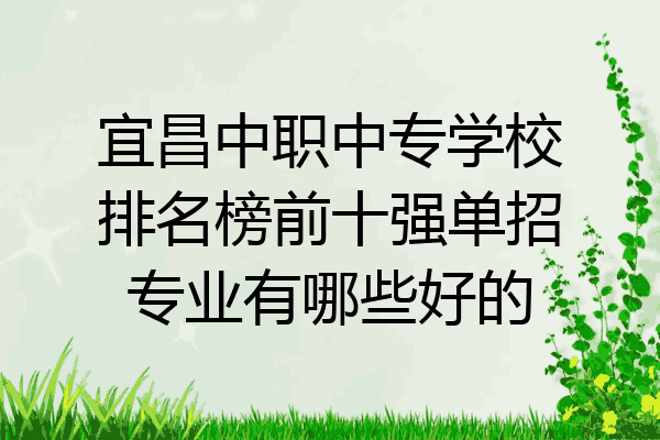 宜昌中职中专学校排名榜前十强单招专业有哪些好的