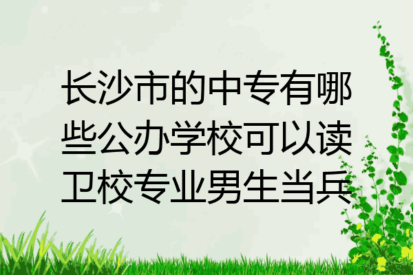 长沙市的中专有哪些公办学校可以读卫校专业男生当兵