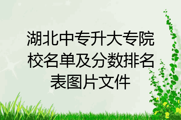 湖北中专升大专院校名单及分数排名表图片文件