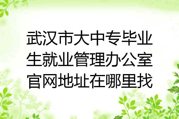 武汉市大中专毕业生就业管理办公室官网地址在哪里找
