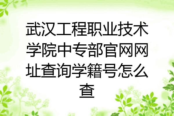 武汉工程职业技术学院中专部官网网址查询学籍号怎么查