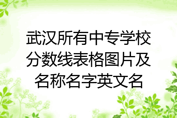 武汉所有中专学校分数线表格图片及名称名字英文名