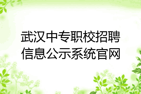 武汉中专职校招聘信息公示系统官网