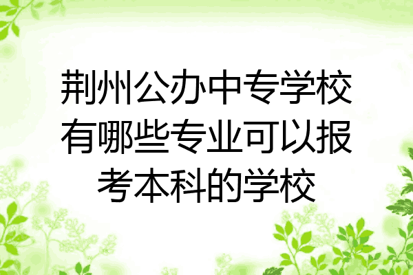 荆州公办中专学校有哪些专业可以报考本科的学校