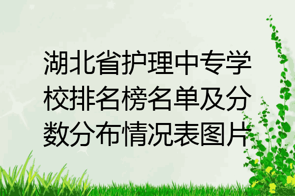 湖北省护理中专学校排名榜名单及分数分布情况表图片