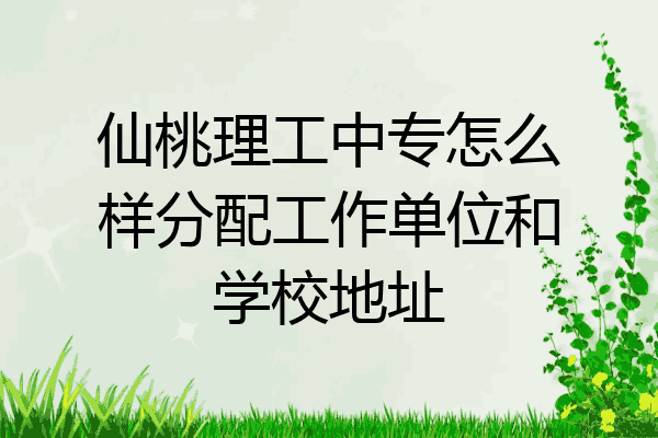 仙桃理工中专怎么样分配工作单位和学校地址