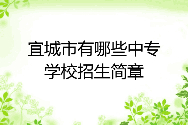 宜城市有哪些中专学校招生简章