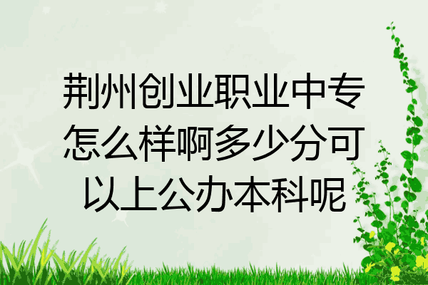 荆州创业职业中专怎么样啊多少分可以上公办本科呢