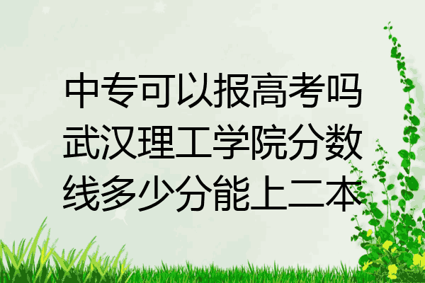 中专可以报高考吗武汉理工学院分数线多少分能上二本