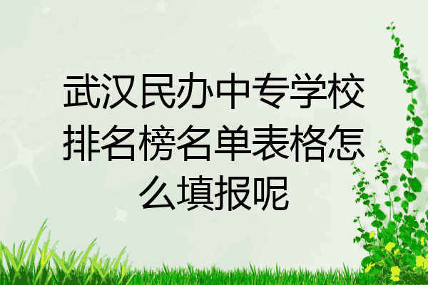 武汉民办中专学校排名榜名单表格怎么填报呢