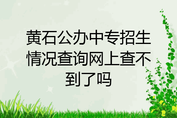 黄石公办中专招生情况查询网上查不到了吗