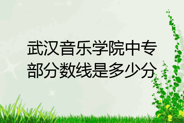 武汉音乐学院中专部分数线是多少分