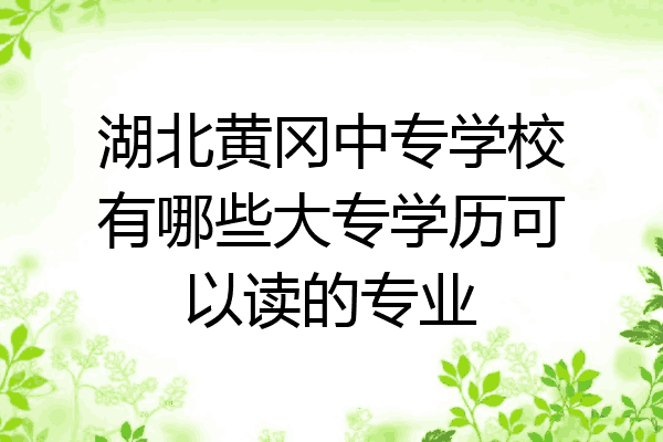 湖北黄冈中专学校有哪些大专学历可以读的专业
