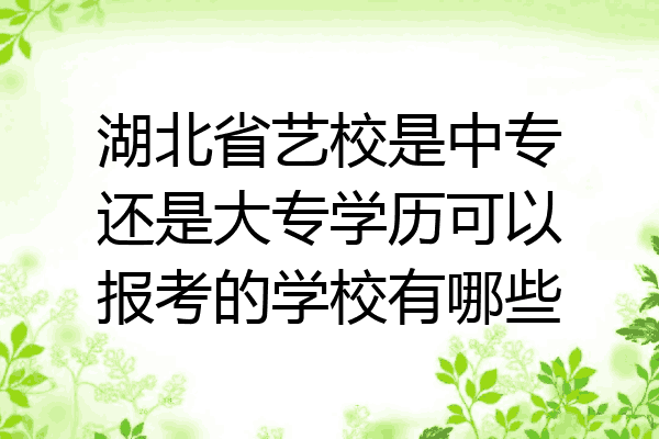 湖北省艺校是中专还是大专学历可以报考的学校有哪些