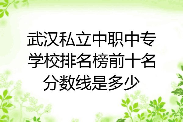 武汉私立中职中专学校排名榜前十名分数线是多少