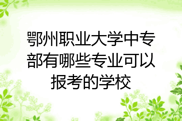 鄂州职业大学中专部有哪些专业可以报考的学校