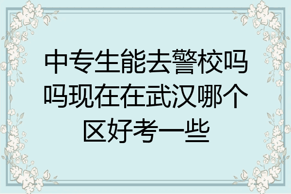 中专生能去警校吗吗现在在武汉哪个区好考一些