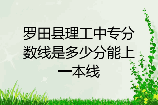 罗田县理工中专分数线是多少分能上一本线