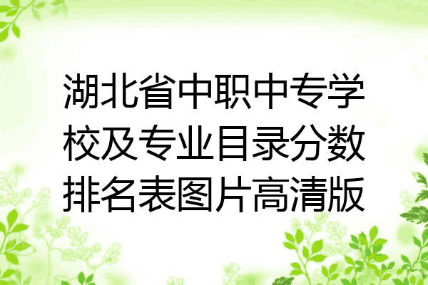 湖北省中职中专学校及专业目录分数排名表图片高清版