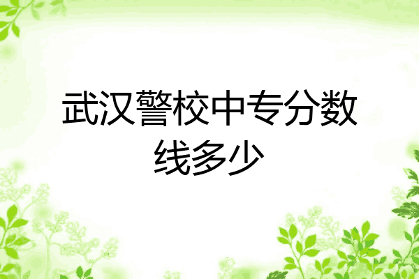 武汉警校中专分数线多少