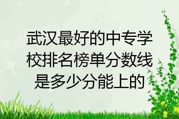 武汉最好的中专学校排名榜单分数线是多少分能上的