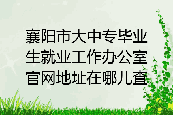 襄阳市大中专毕业生就业工作办公室官网地址在哪儿查