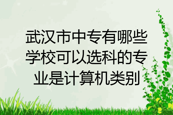 武汉市中专有哪些学校可以选科的专业是计算机类别