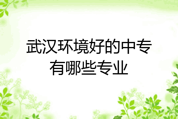 武汉环境好的中专有哪些专业