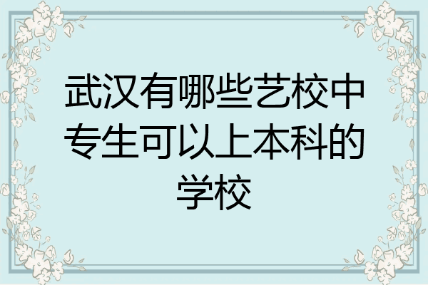 武汉有哪些艺校中专生可以上本科的学校