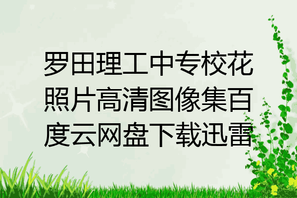 罗田理工中专校花照片高清图像集百度云网盘下载迅雷