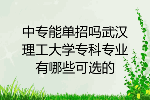 中专能单招吗武汉理工大学专科专业有哪些可选的
