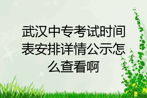 武汉中专考试时间表安排详情公示怎么查看啊