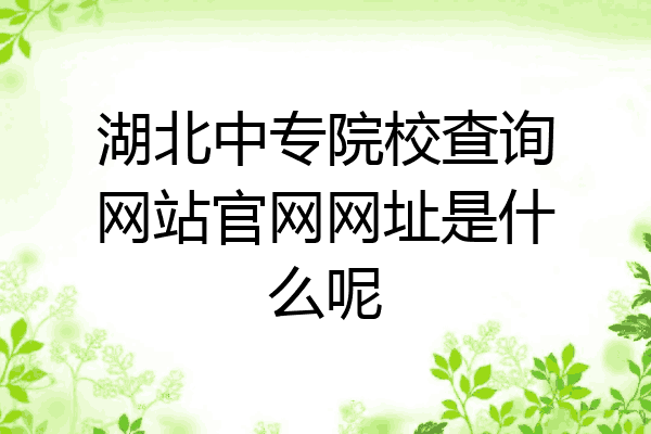 湖北中专院校查询网站官网网址是什么呢