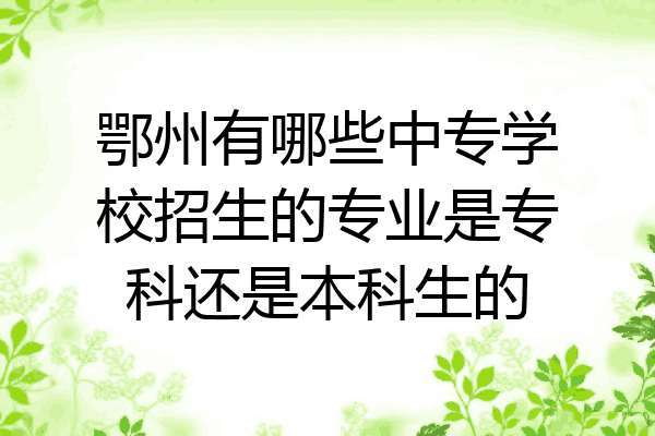鄂州有哪些中专学校招生的专业是专科还是本科生的