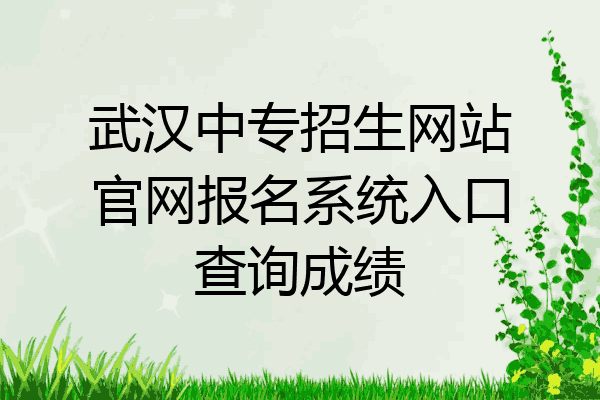 武汉中专招生网站官网报名系统入口查询成绩