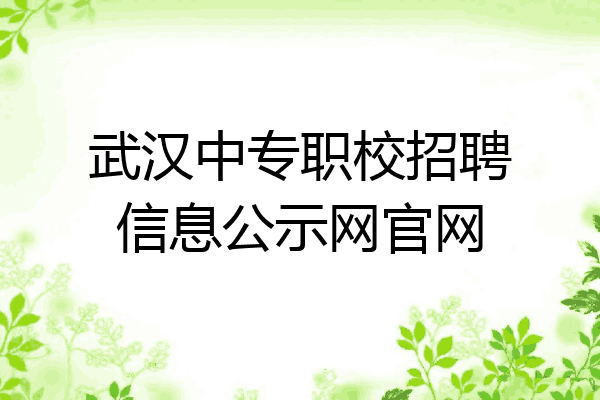 武汉中专职校招聘信息公示网官网