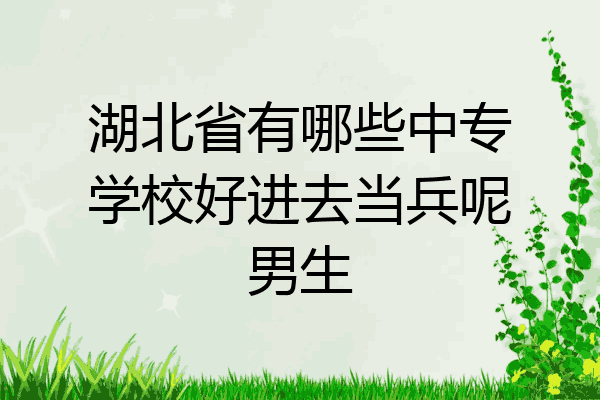 湖北省有哪些中专学校好进去当兵呢男生