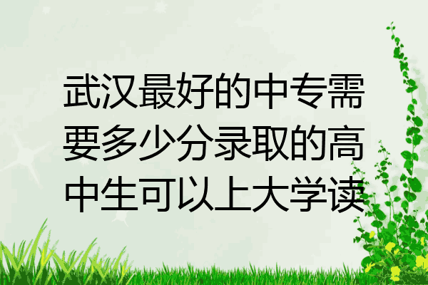 武汉最好的中专需要多少分录取的高中生可以上大学读