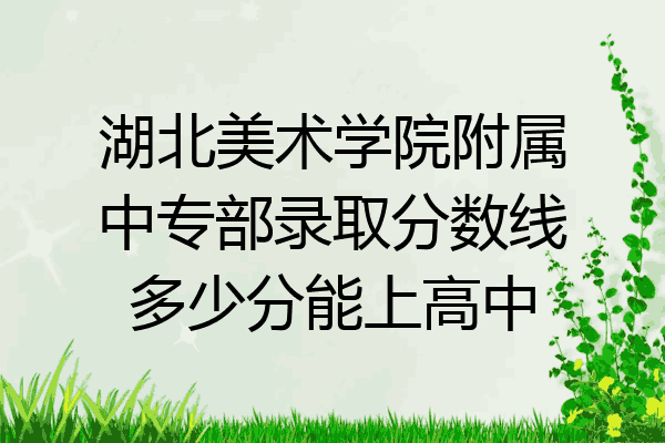 湖北美术学院附属中专部录取分数线多少分能上高中
