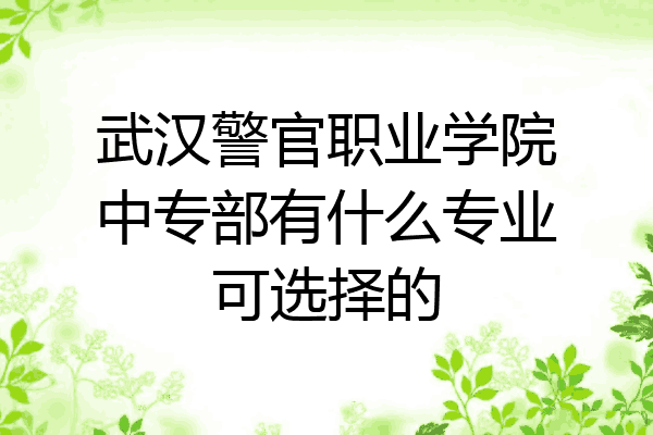 武汉警官职业学院中专部有什么专业可选择的