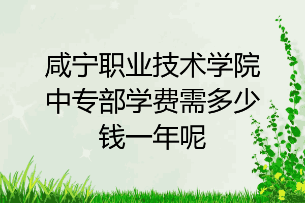 咸宁职业技术学院中专部学费需多少钱一年呢