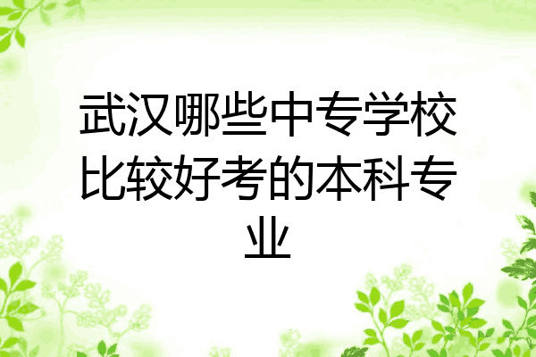 武汉哪些中专学校比较好考的本科专业